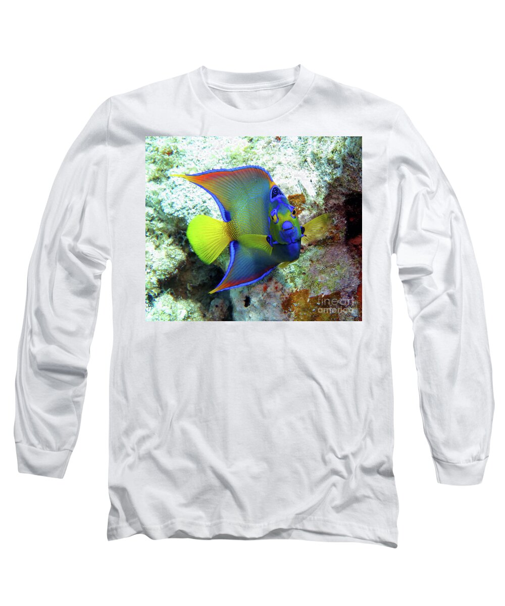 Underwater Long Sleeve T-Shirt featuring the photograph Queen Angelfish by Daryl Duda