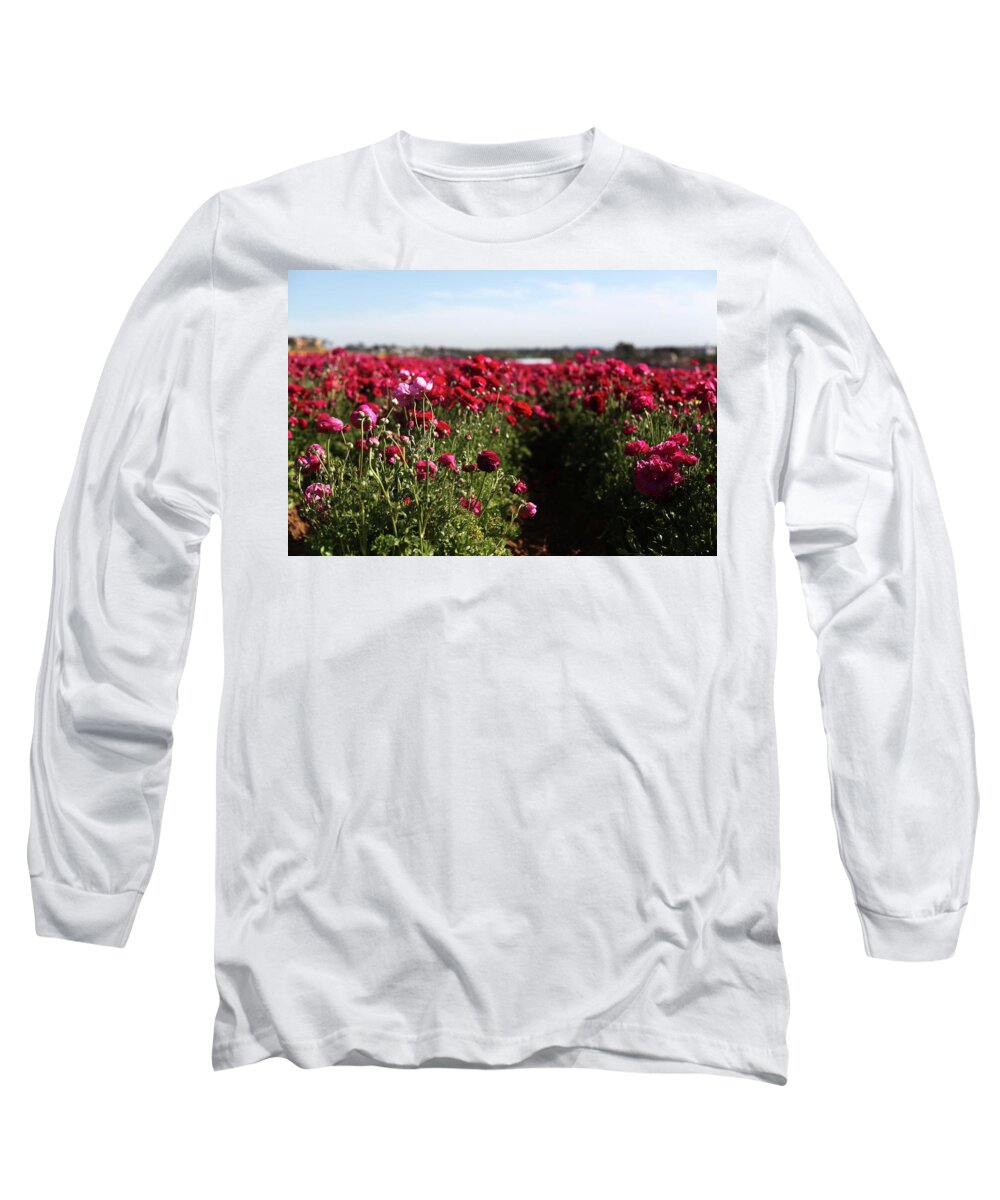 Ranunculus Long Sleeve T-Shirt featuring the photograph Ranunculus Field by Portraits By NC