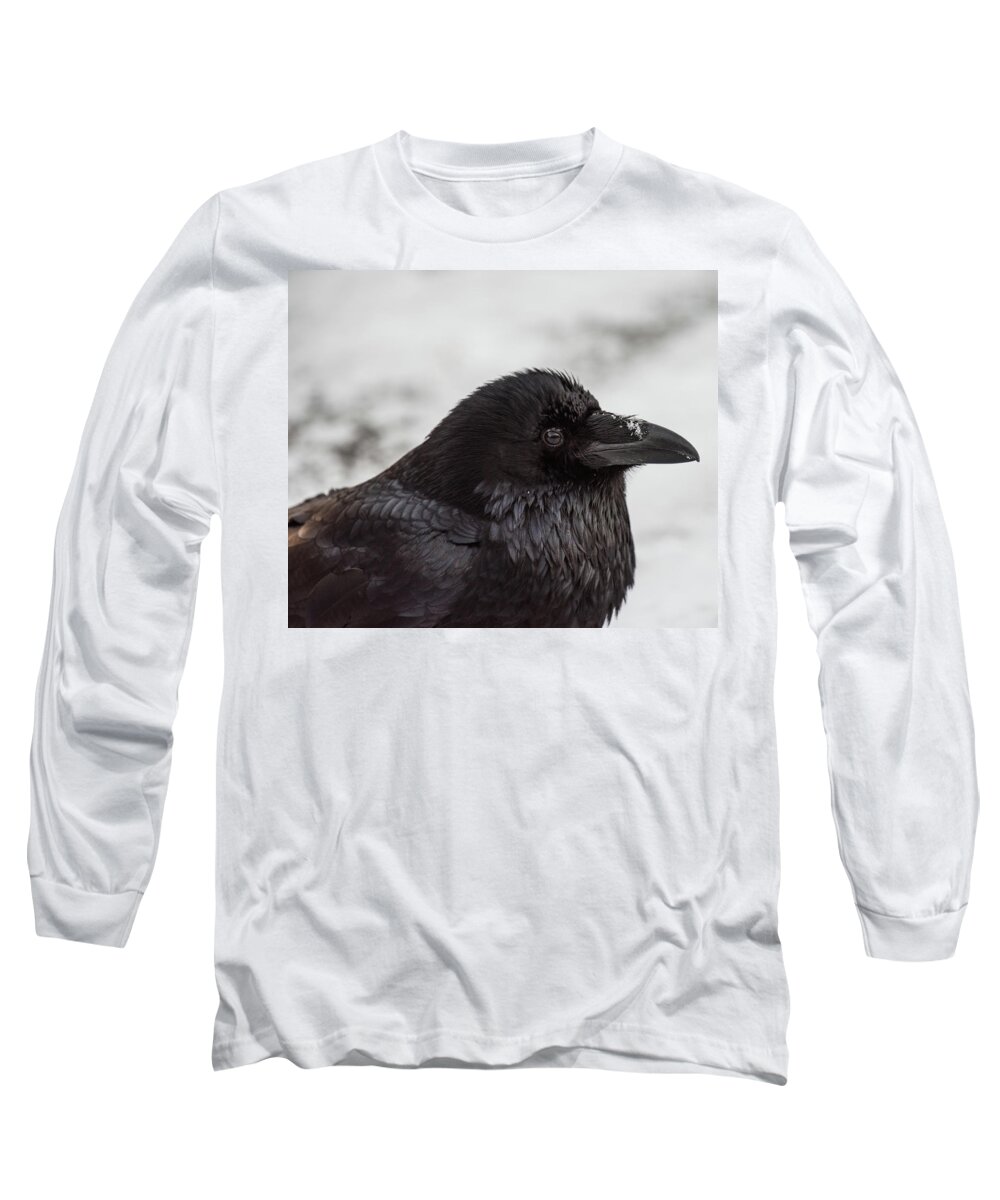 Raven Long Sleeve T-Shirt featuring the photograph Raven by David Kirby