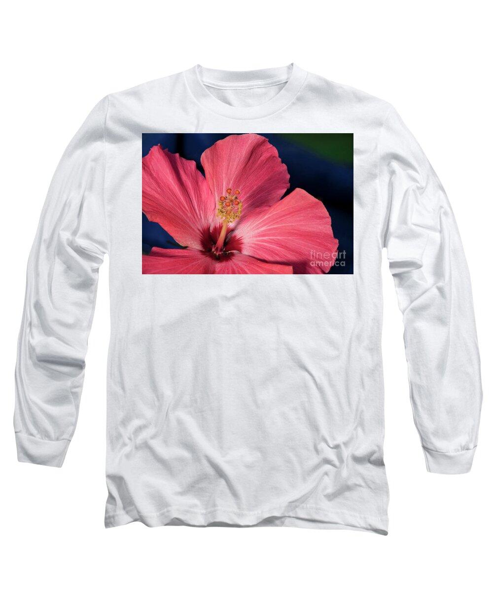 21st Century Long Sleeve T-Shirt featuring the photograph Red and White Hibiscus by Norman Gabitzsch