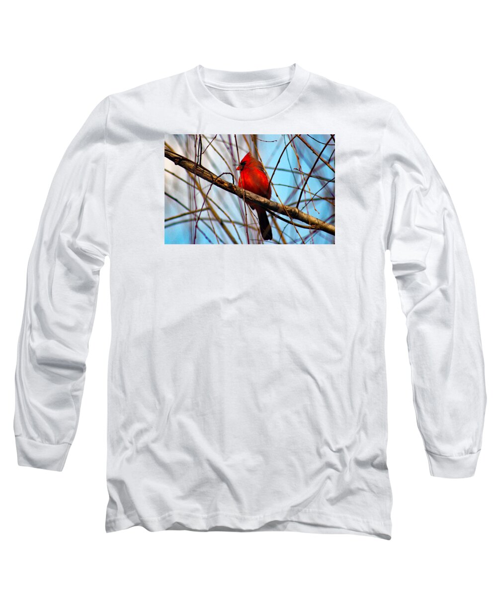 Redbird Long Sleeve T-Shirt featuring the photograph Red Bird Sitting Patiently by DB Hayes