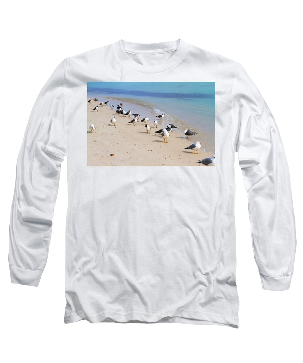 Bonnie Follett Long Sleeve T-Shirt featuring the photograph Rhapsody in Seabird by Bonnie Follett