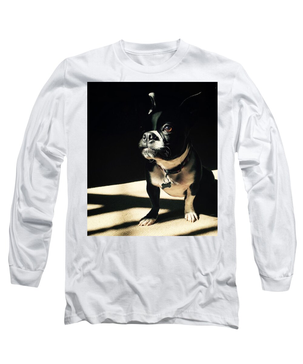 Boston Terrier Long Sleeve T-Shirt featuring the photograph Rocky by Sharon Jones