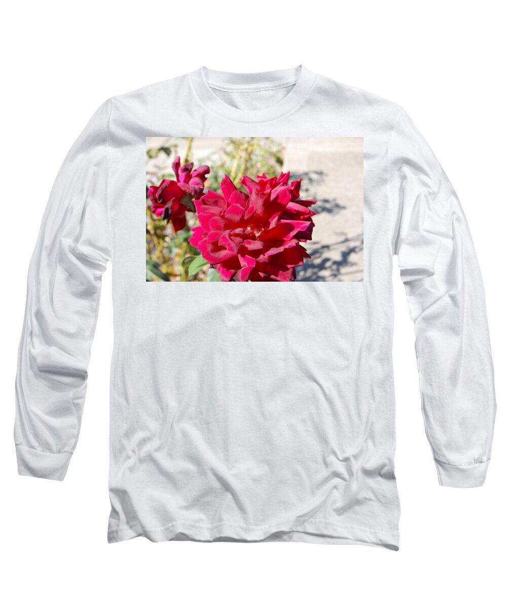 Roses Long Sleeve T-Shirt featuring the photograph Roses Red by Carolyn Donnell