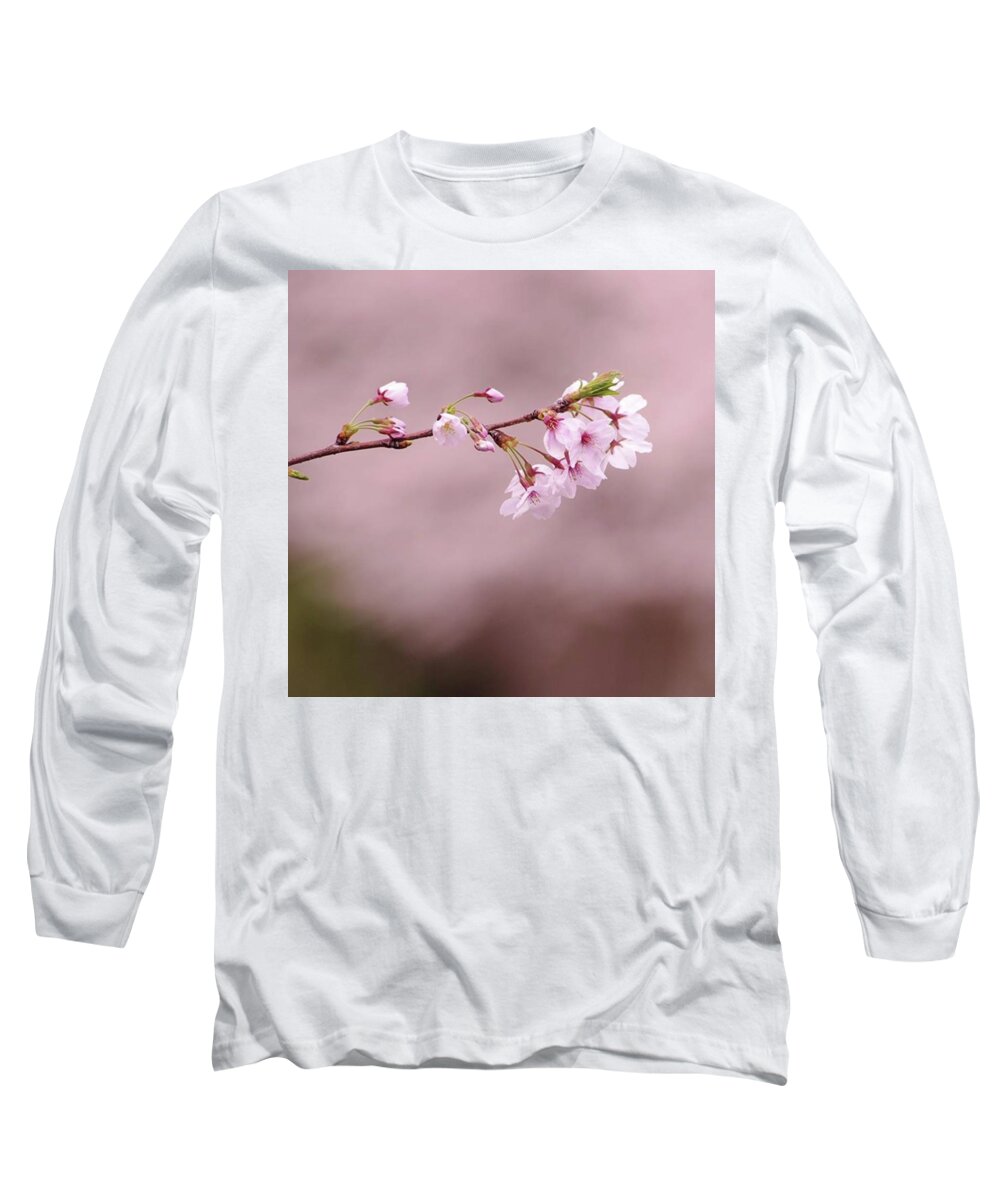 Hanami Long Sleeve T-Shirt featuring the photograph Japanese Sakura by Ippei Uchida