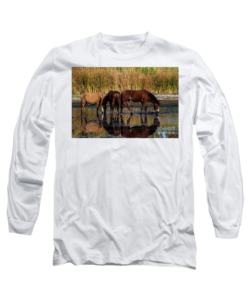 Arizona Long Sleeve T-Shirt featuring the photograph Salt River Horses by Kathy McClure