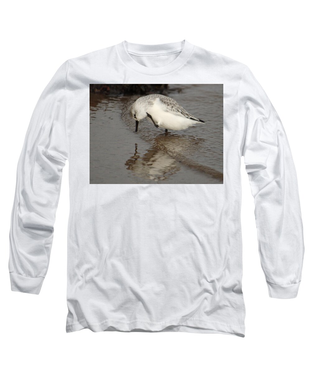 Bird Long Sleeve T-Shirt featuring the photograph Sanderling Scratching by Adrian Wale