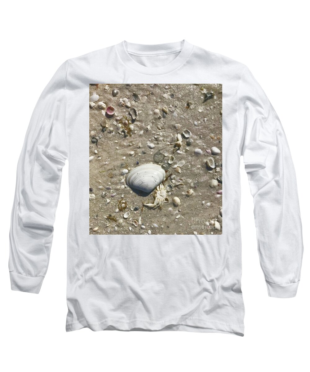 Shells Long Sleeve T-Shirt featuring the photograph Sarasota County Shells by Suzanne Lorenz