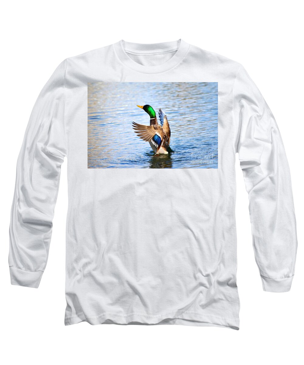 Mallard Long Sleeve T-Shirt featuring the photograph Showing Off by Cindy Schneider