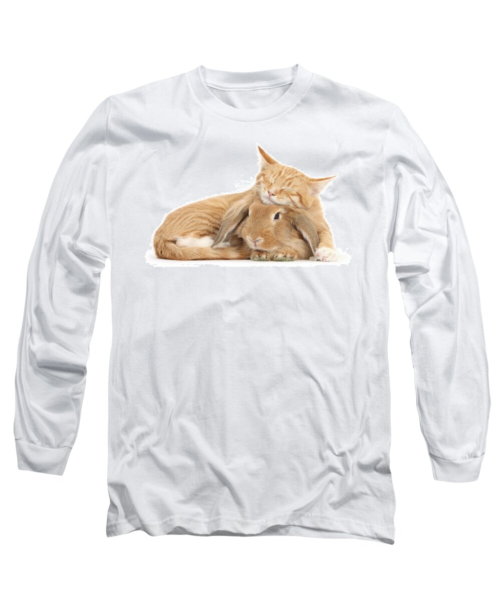 Sandy Lionhead Lop Long Sleeve T-Shirt featuring the photograph Sleeping on Bun by Warren Photographic