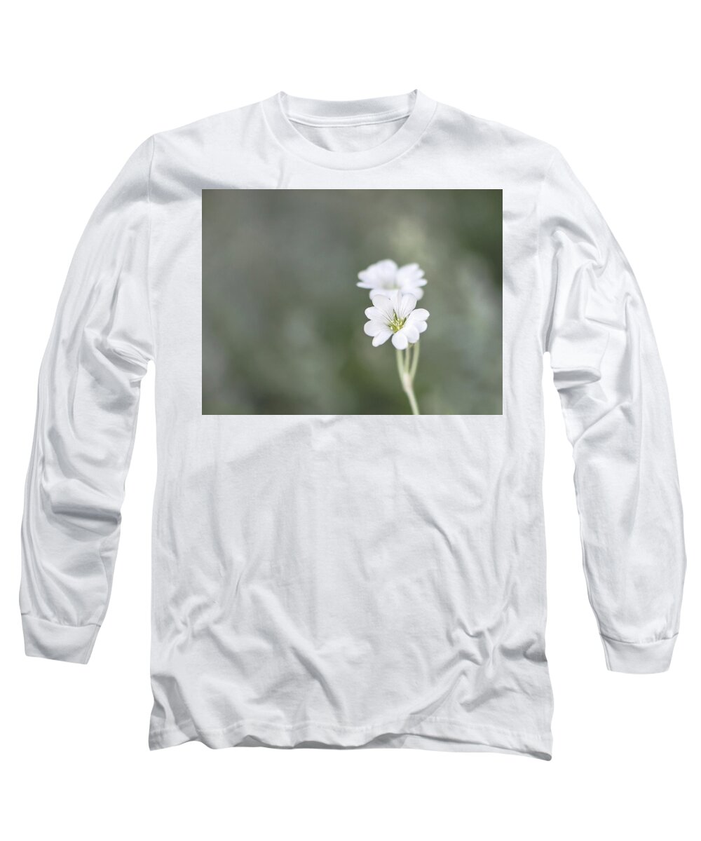 Summer Long Sleeve T-Shirt featuring the photograph Snow In Summer by Jennifer Grossnickle
