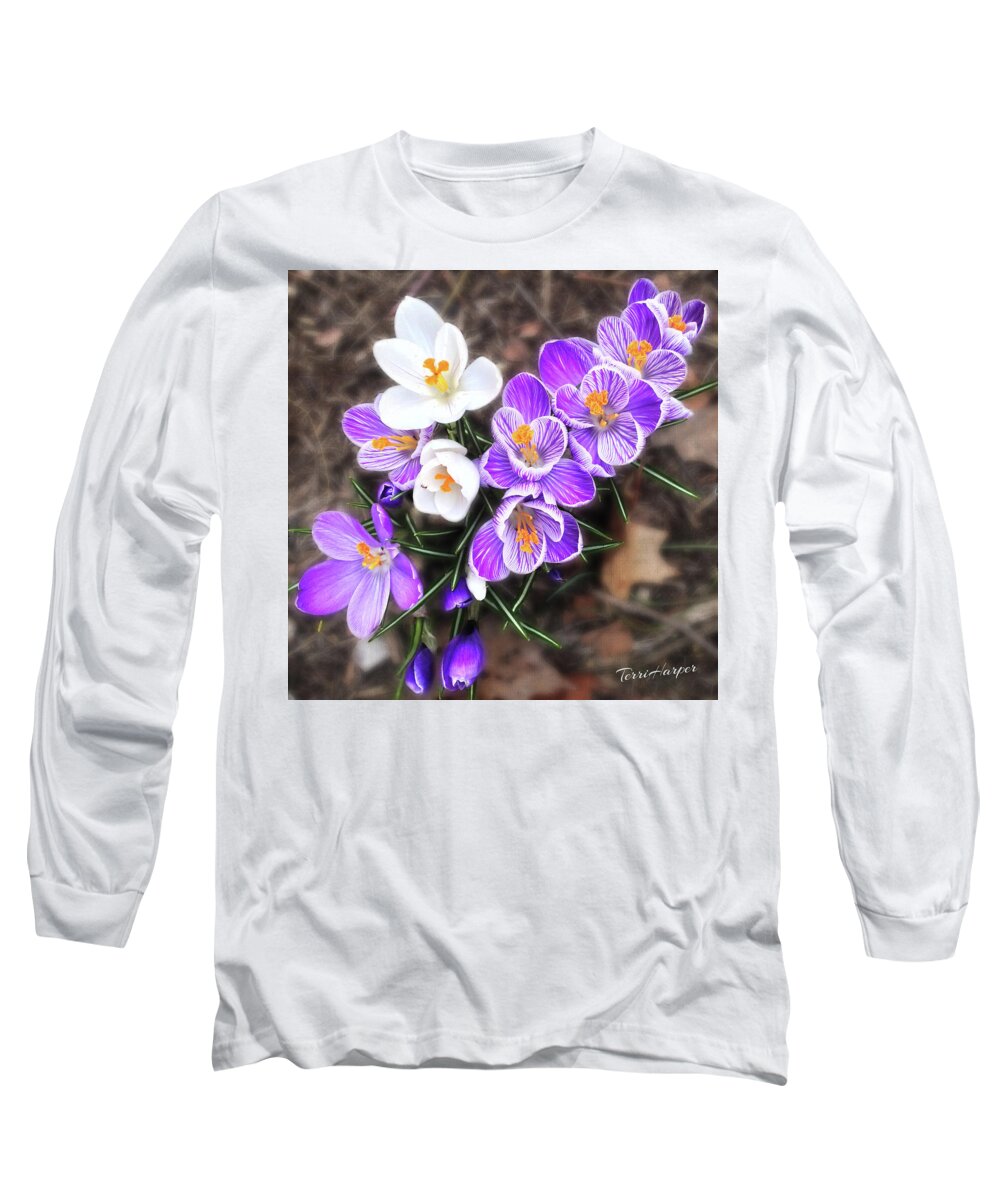 Crocus Long Sleeve T-Shirt featuring the photograph Spring Beauties by Terri Harper