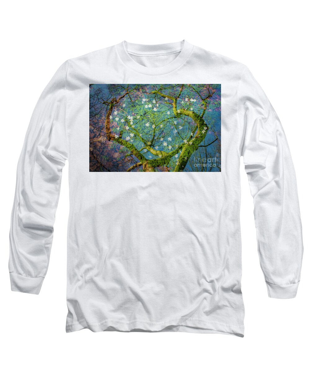 Magic Forest Long Sleeve T-Shirt featuring the photograph Spring is in the air-1 by Casper Cammeraat