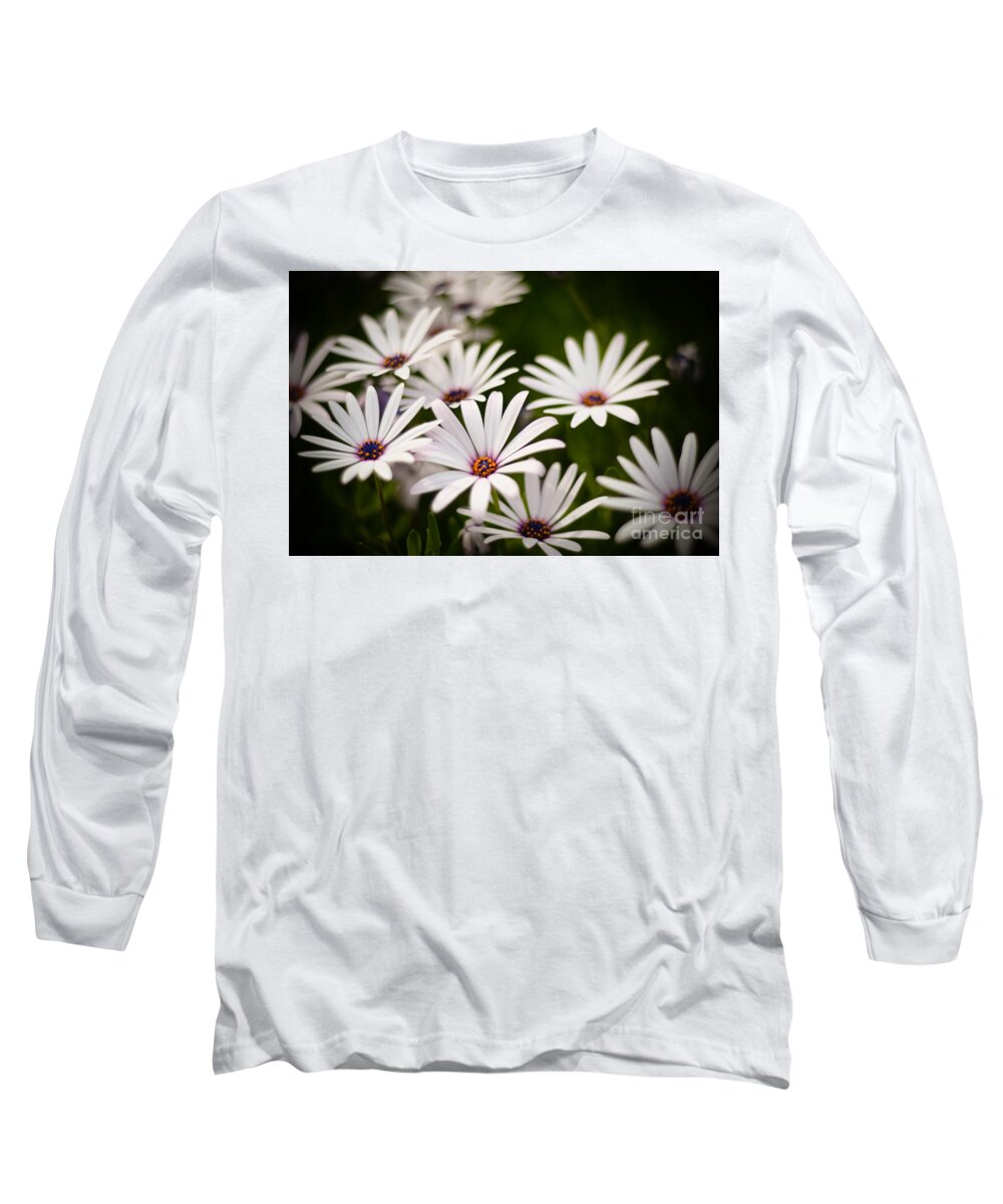 Spring Long Sleeve T-Shirt featuring the photograph Spring is in the air by Kelly Wade
