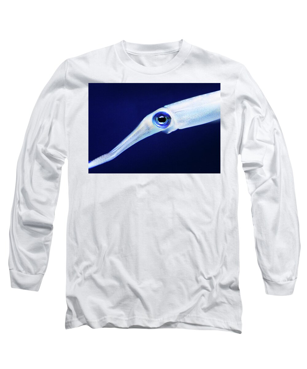 Squid Long Sleeve T-Shirt featuring the photograph Squid by Anthony Jones