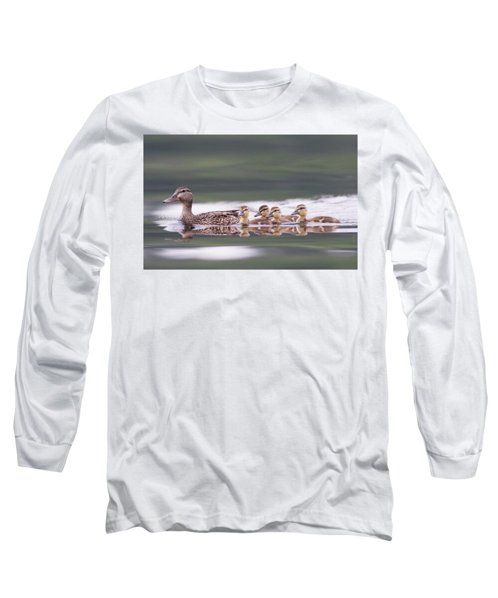 Duck Long Sleeve T-Shirt featuring the photograph Stay in line... by Ian Sempowski