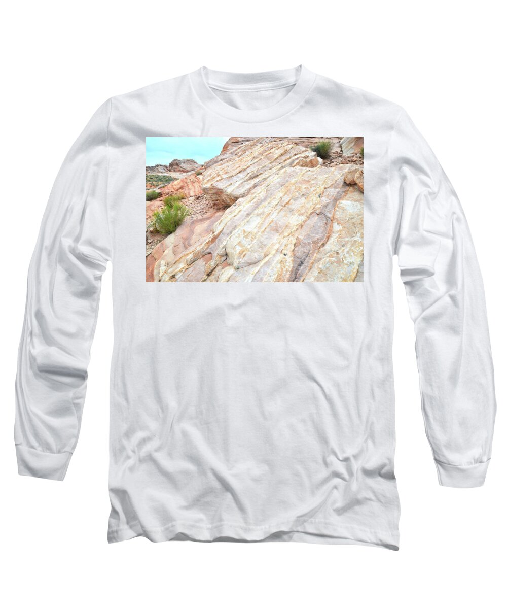 Valley Of Fire State Park Long Sleeve T-Shirt featuring the photograph Stone Feet in Valley of Fire by Ray Mathis