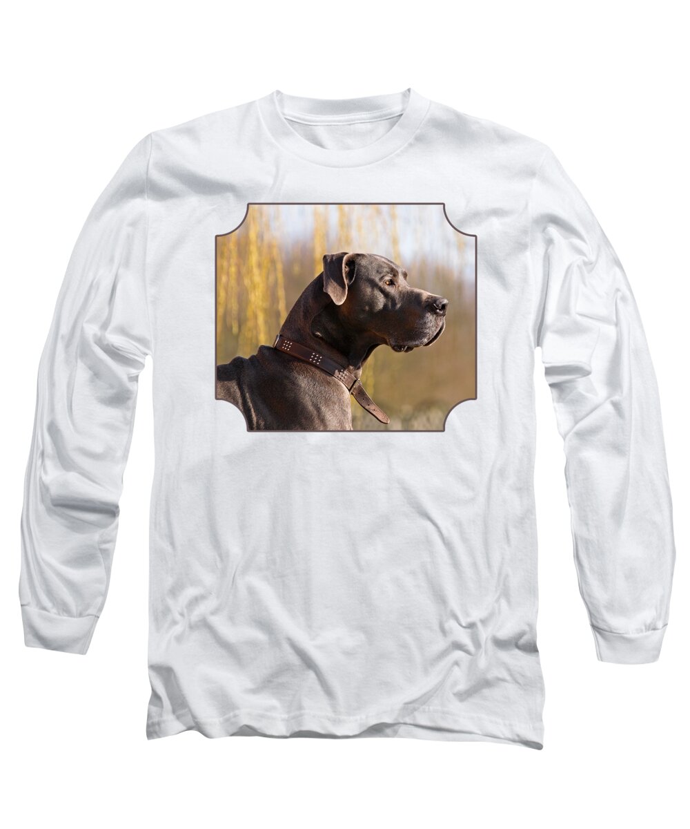 Great Dane Long Sleeve T-Shirt featuring the photograph Storm The Great Dane by Gill Billington