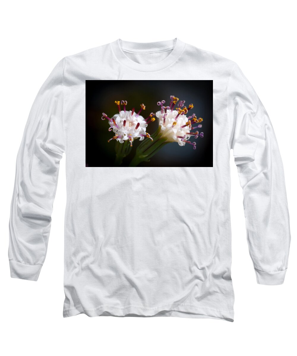 Succulent Long Sleeve T-Shirt featuring the photograph String Of Pearl Succulent Flowers by Catherine Lau