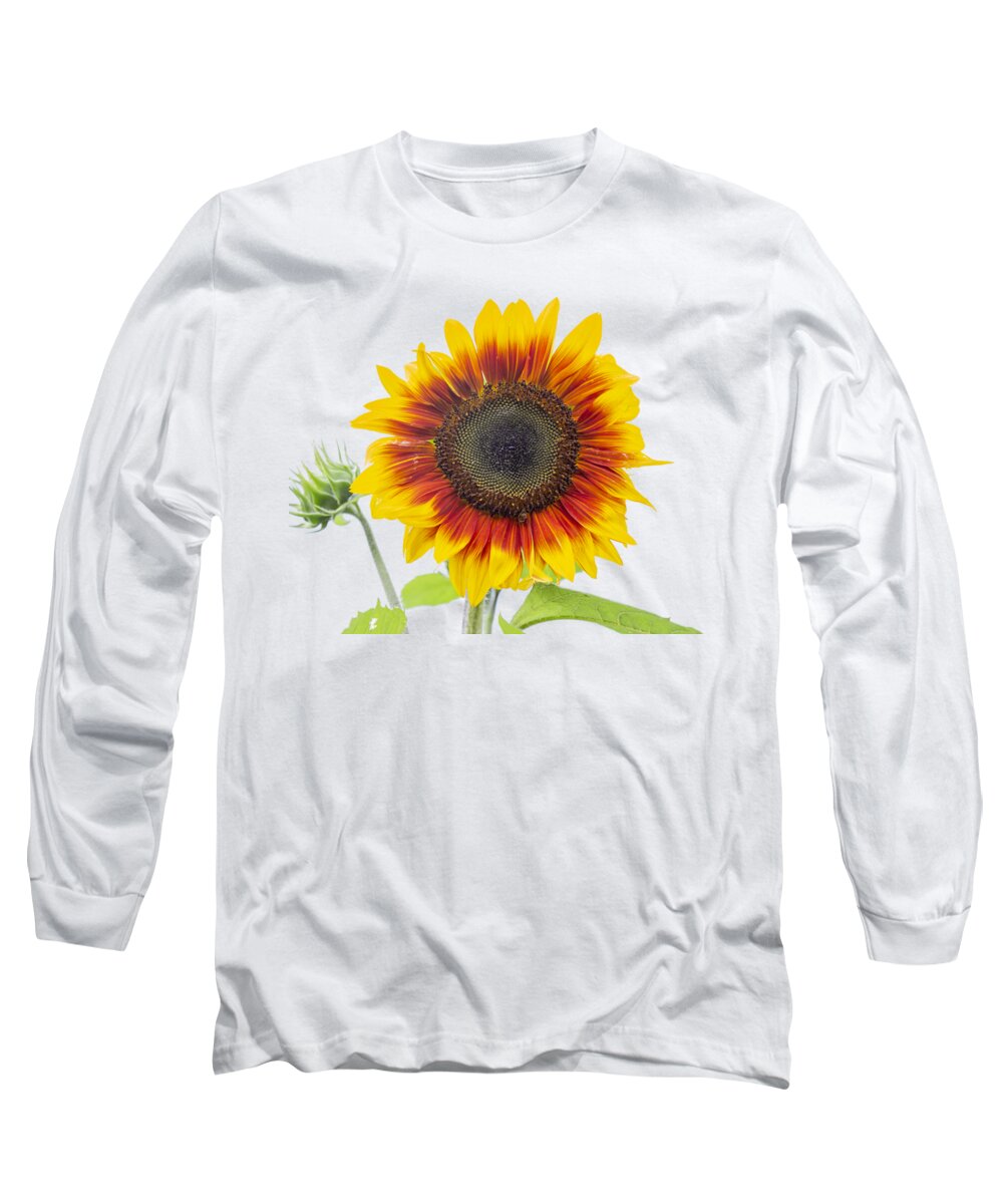 Sunflower Long Sleeve T-Shirt featuring the photograph Sunflower 2018-1 by Thomas Young