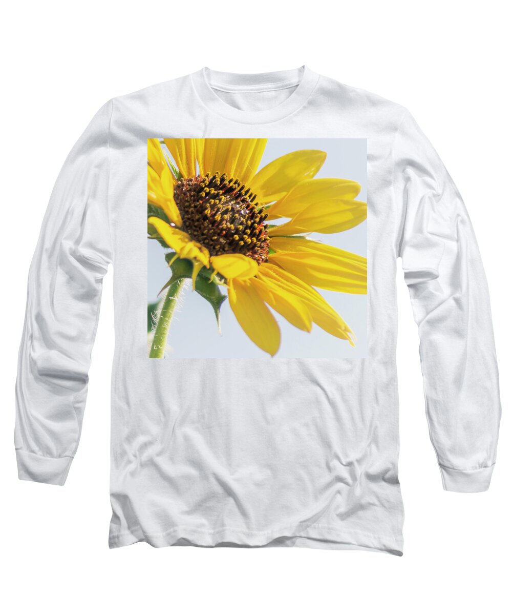 Beautiful Long Sleeve T-Shirt featuring the digital art Sunflowers by Brad Thornton