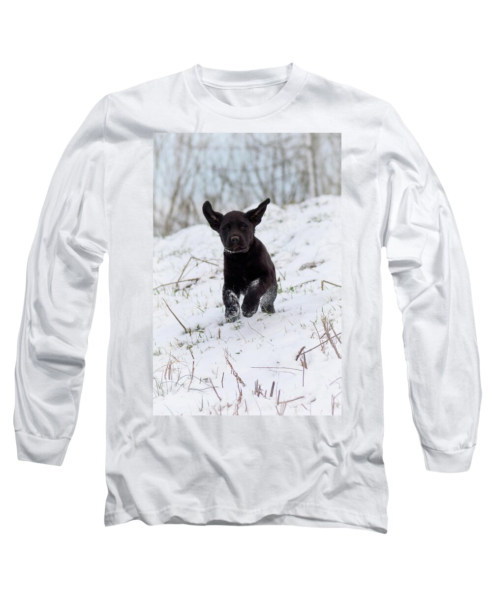 Pup Long Sleeve T-Shirt featuring the photograph Super Pup by Holden The Moment