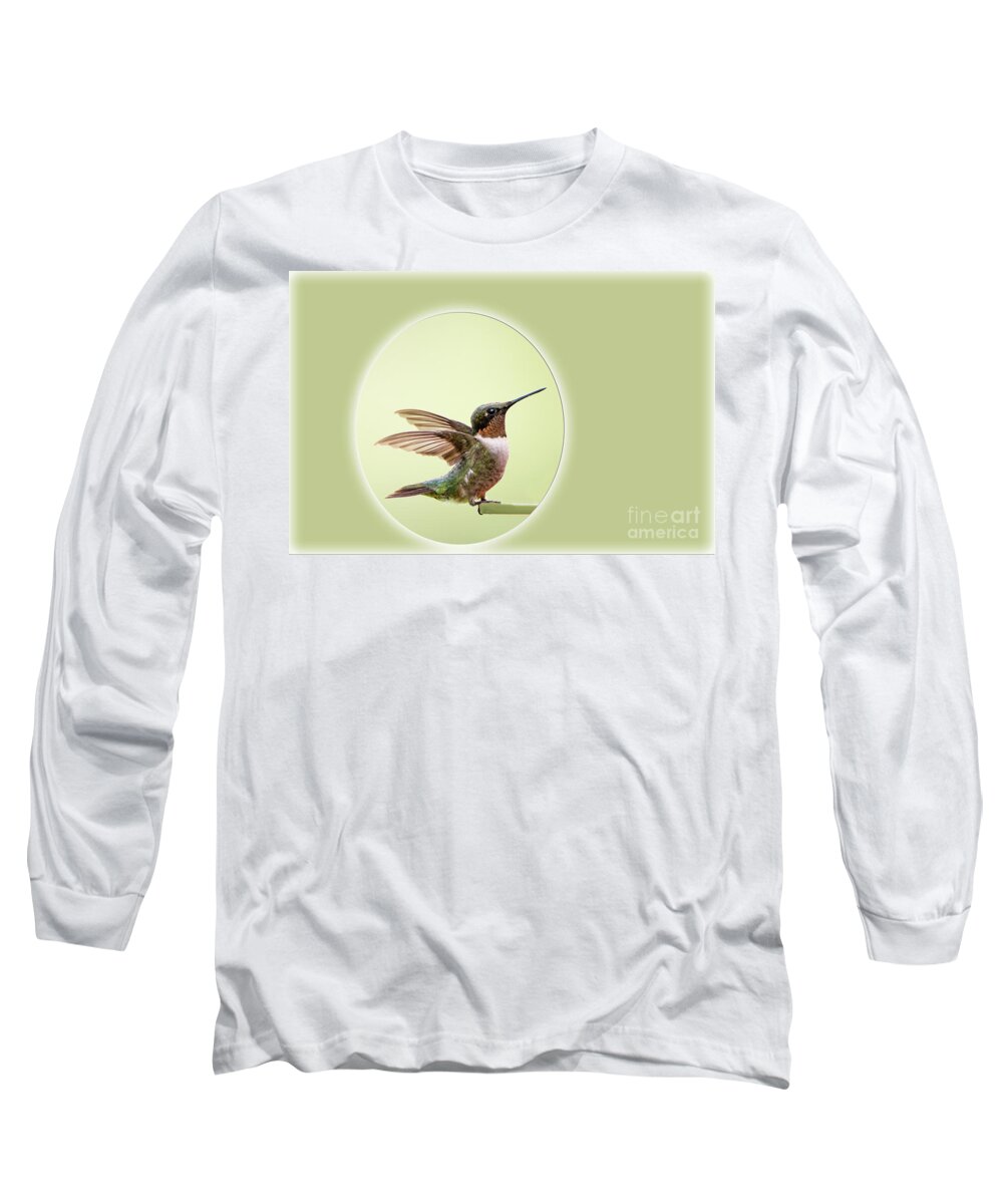 Sweet Long Sleeve T-Shirt featuring the photograph Sweet Little Hummingbird by Bonnie Barry