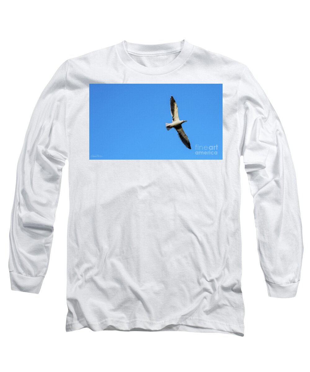 Bird Long Sleeve T-Shirt featuring the photograph Take Flight by Adam Morsa