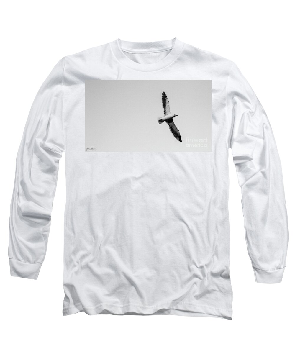 Bird Long Sleeve T-Shirt featuring the photograph Take Flight, Black and White by Adam Morsa
