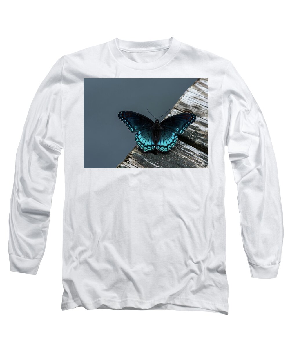 Butterfly Long Sleeve T-Shirt featuring the photograph The Admiral by Jody Partin