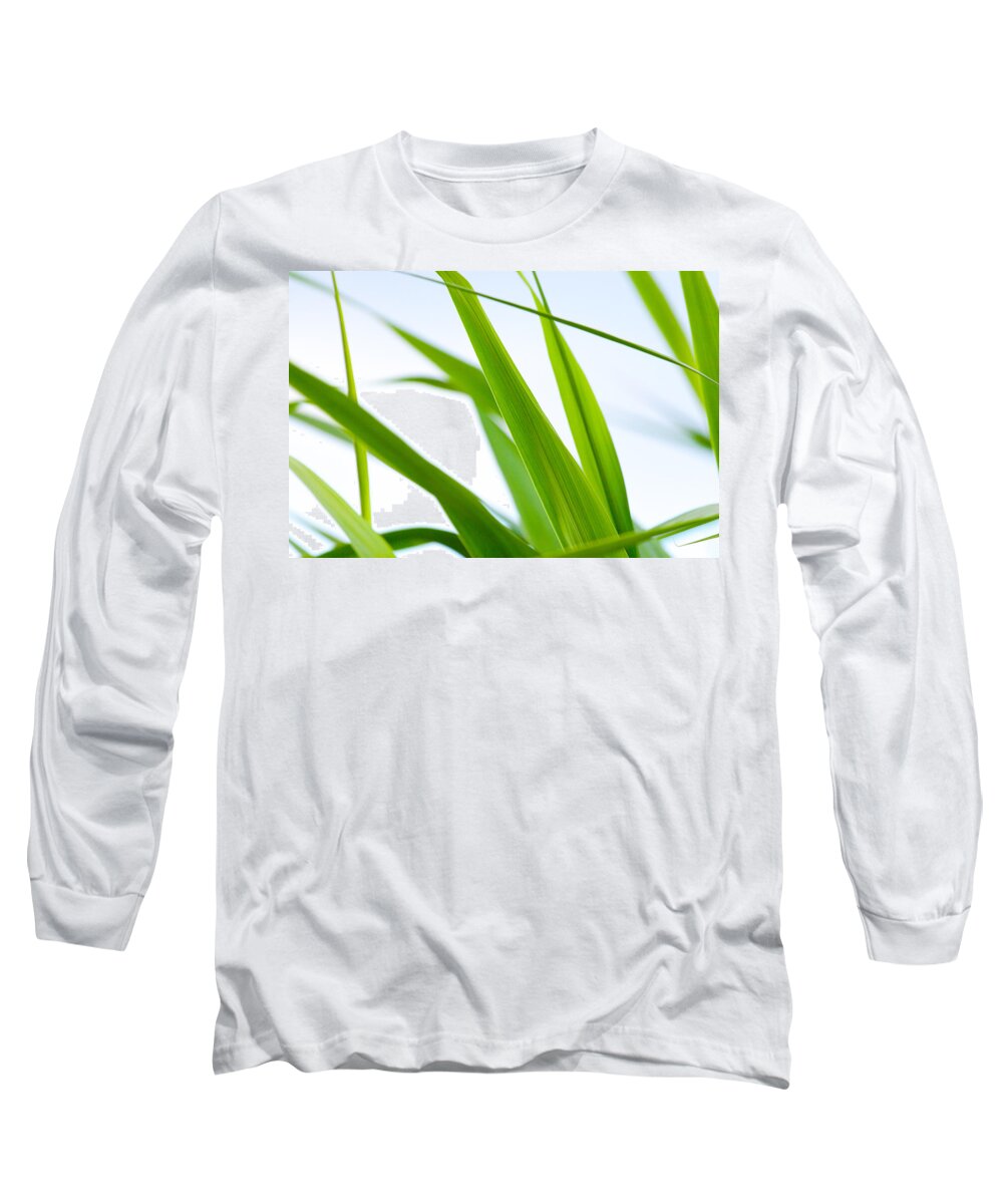 Steven Green Photography Long Sleeve T-Shirt featuring the photograph The Cane by SR Green