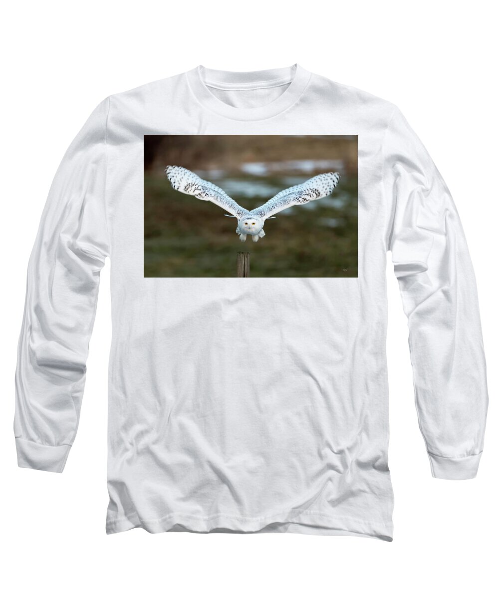Snowy Long Sleeve T-Shirt featuring the photograph The Eyes of Intent by Everet Regal