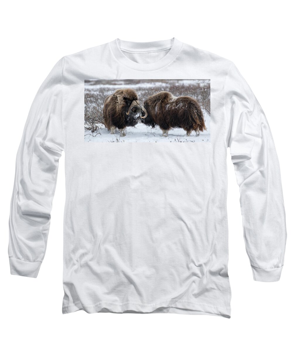Usa Long Sleeve T-Shirt featuring the photograph The Face Off by Cheryl Strahl