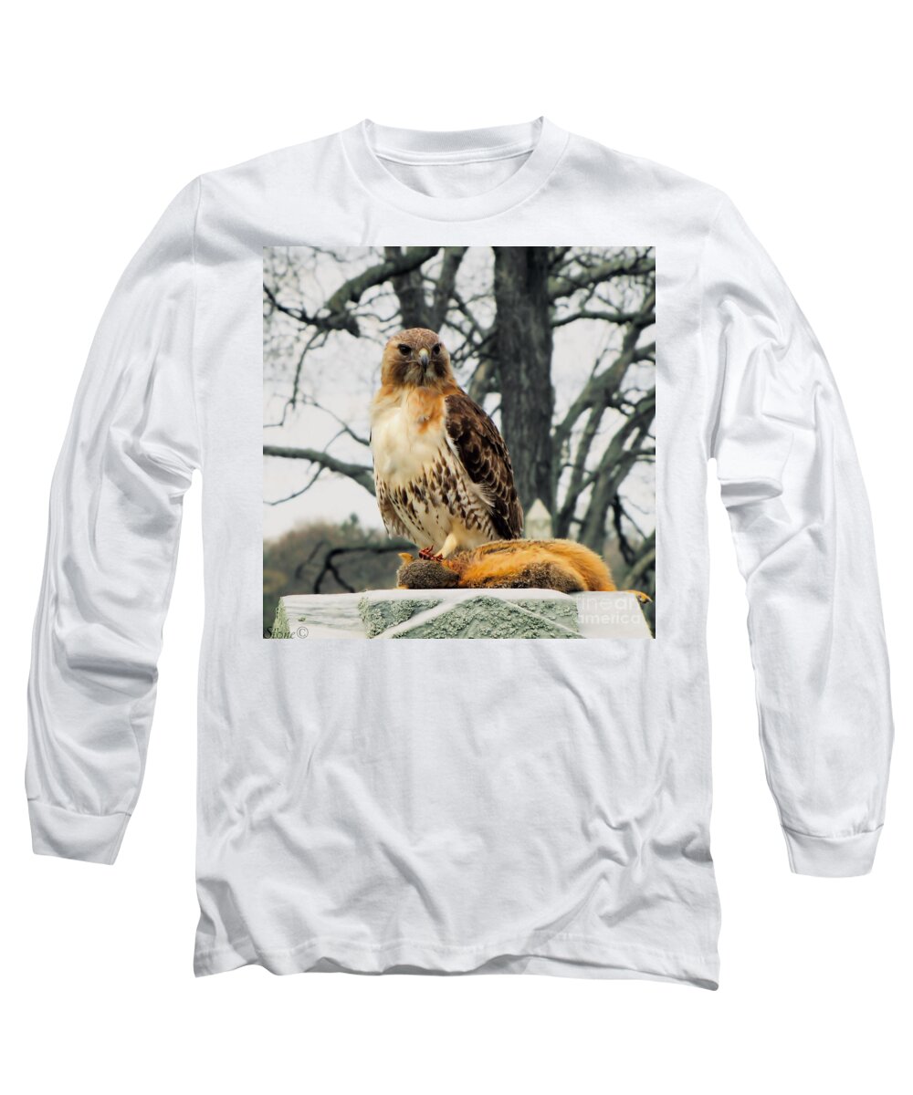 Hawk Long Sleeve T-Shirt featuring the photograph The Kill by September Stone