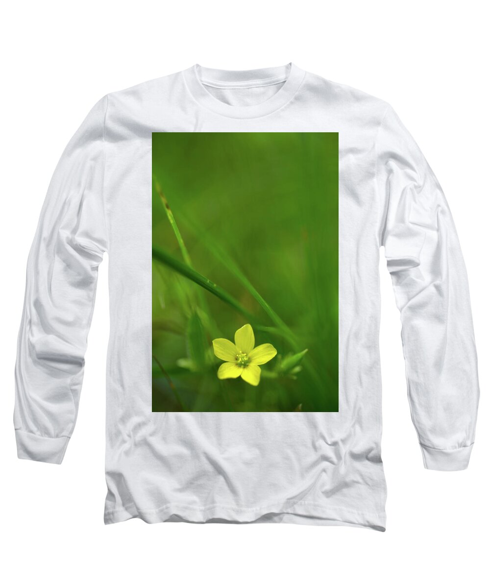 Flowers Long Sleeve T-Shirt featuring the photograph The Last Visible Flower by Ron Dubreuil