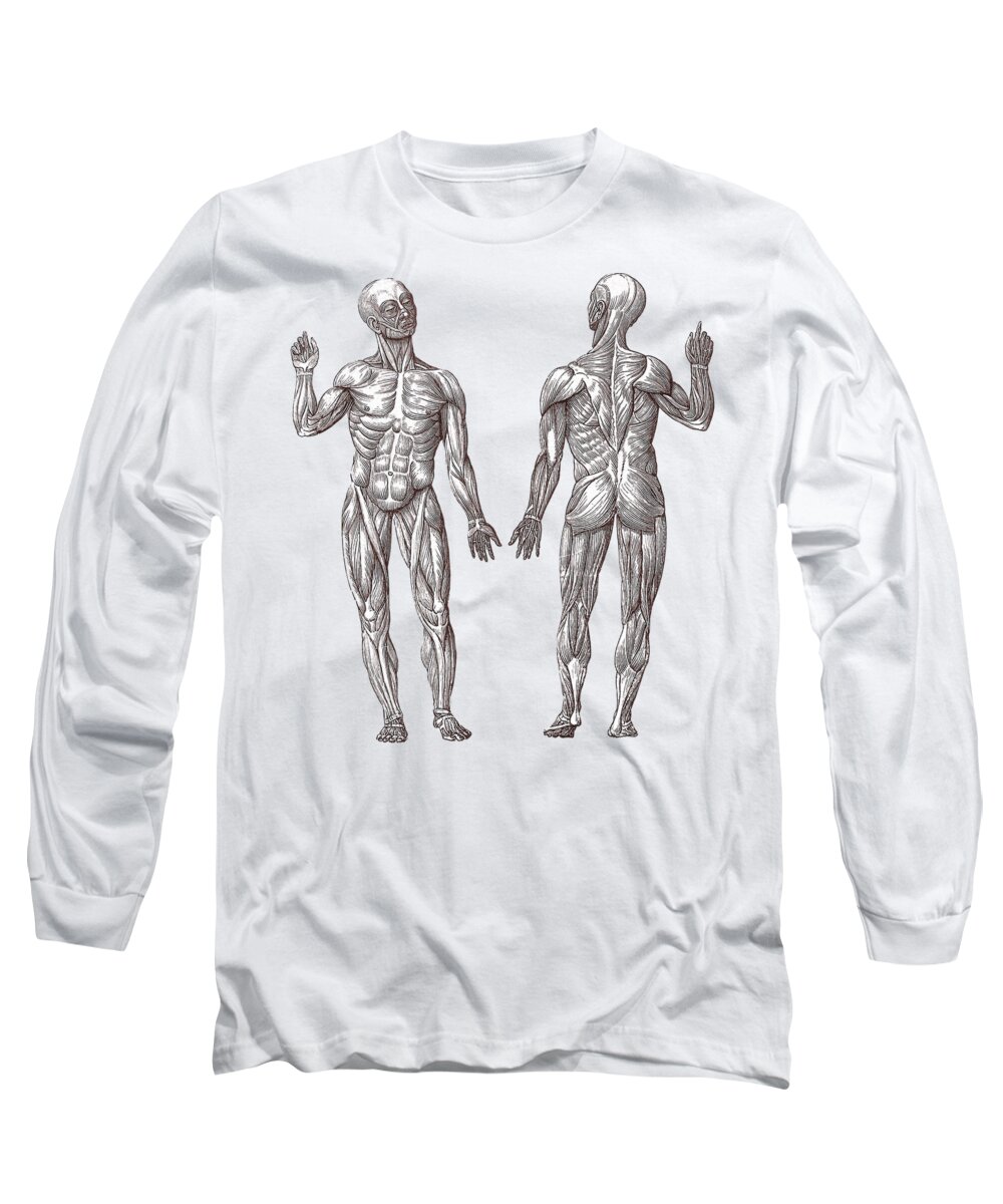 The Muscle Men Long Sleeve T-Shirt by Village Antiques - Pixels