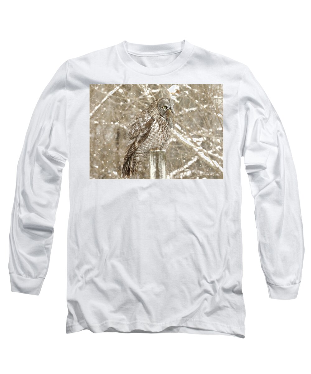 Owl Long Sleeve T-Shirt featuring the photograph The Owl and the Vole by Duane Cross
