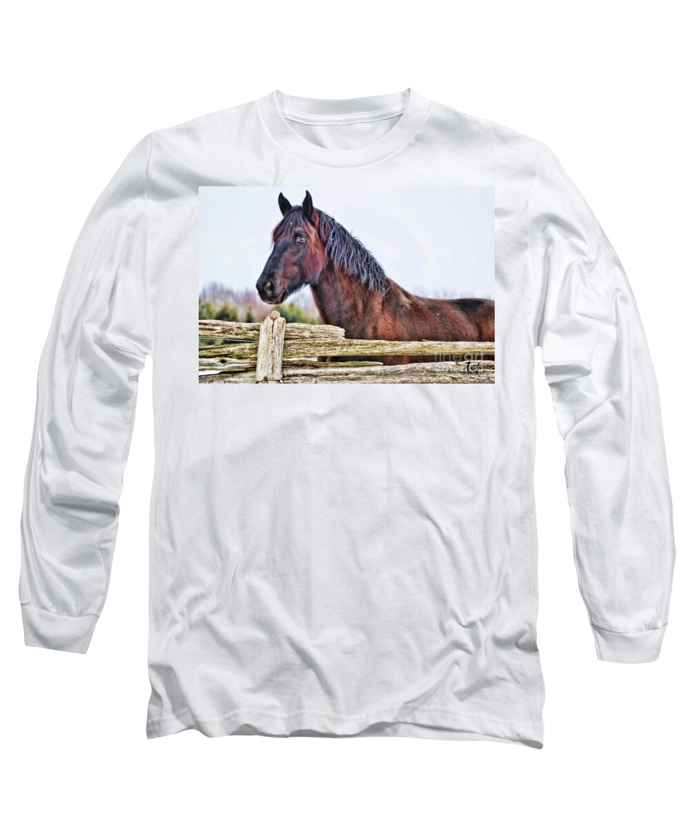Horse Long Sleeve T-Shirt featuring the photograph The Watcher by Traci Cottingham