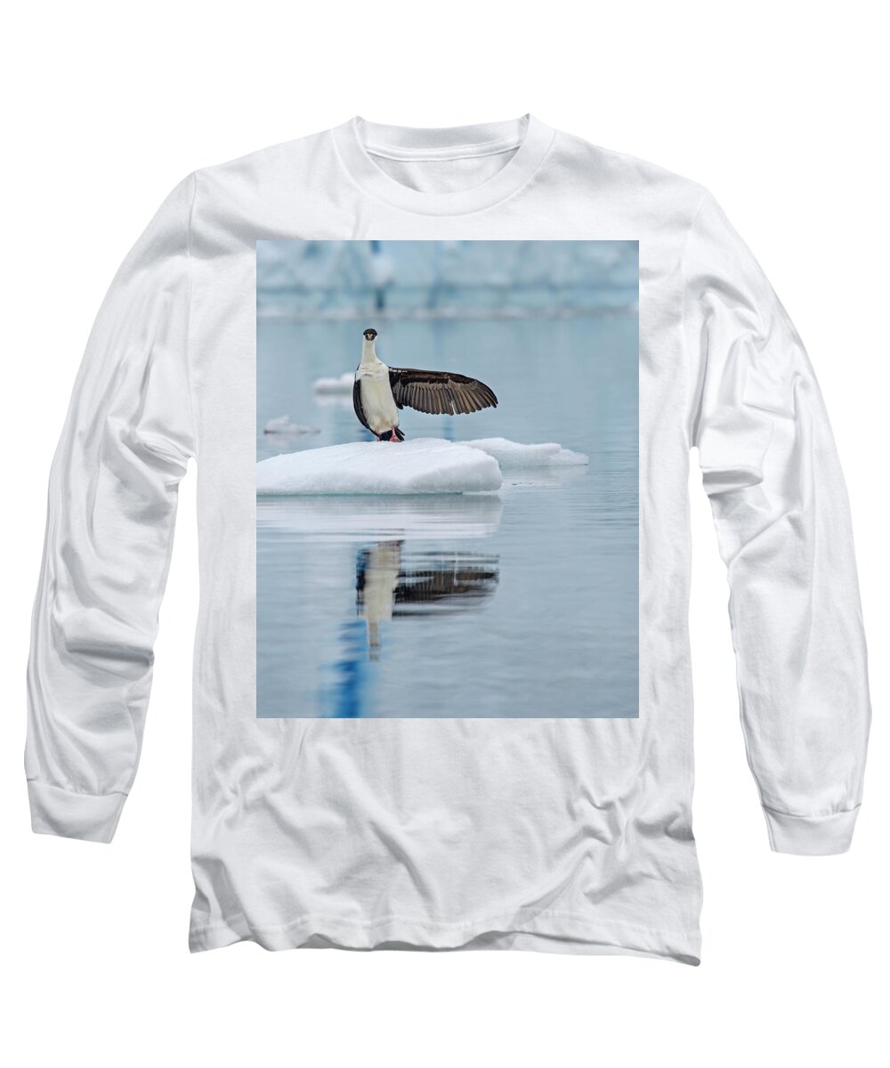 Antarctic Shag Long Sleeve T-Shirt featuring the photograph This Way by Tony Beck