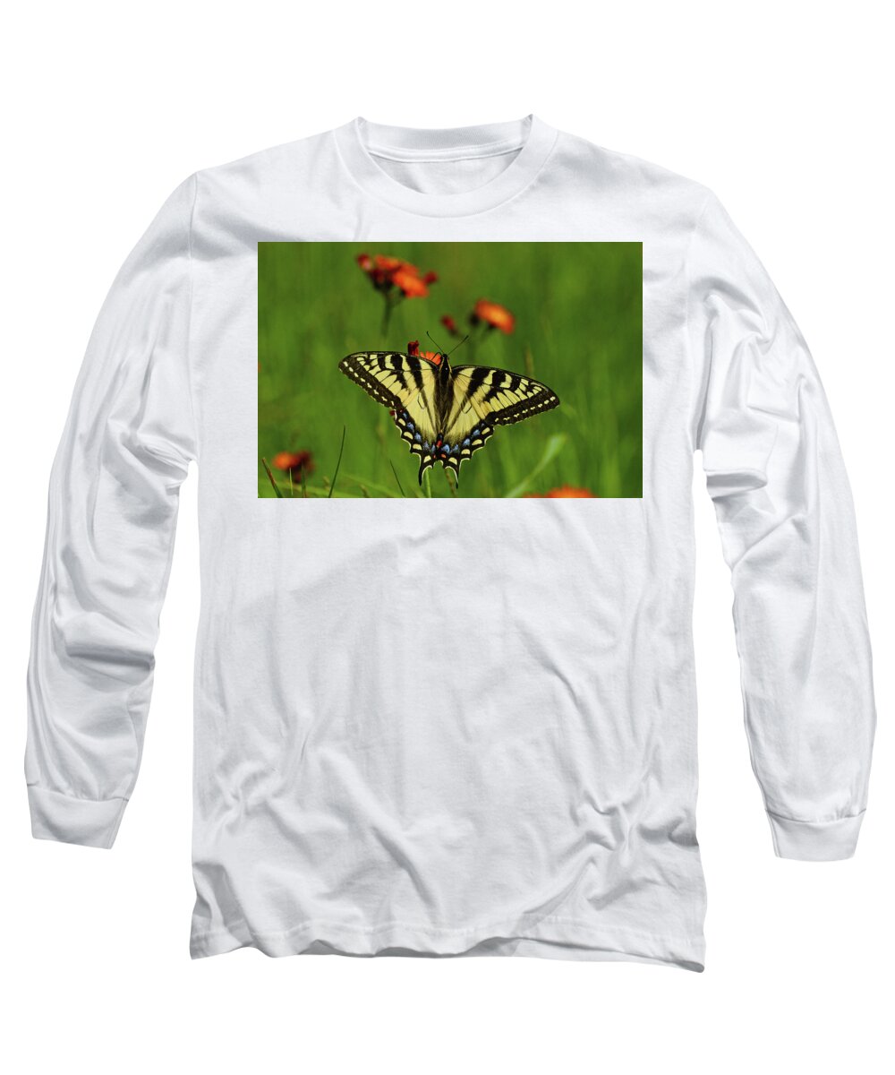 Tiger Long Sleeve T-Shirt featuring the photograph Tiger Swallowtail Butterfly by Nancy Landry