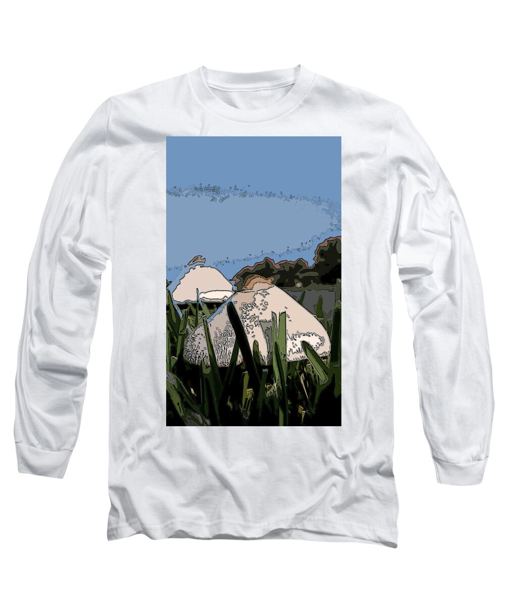 Landscape Long Sleeve T-Shirt featuring the photograph Toad Stools by James Rentz