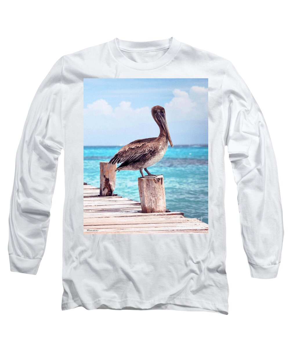 Beautiful Long Sleeve T-Shirt featuring the photograph Treasure Coast Pelican Pier Seascape C1 by Ricardos Creations