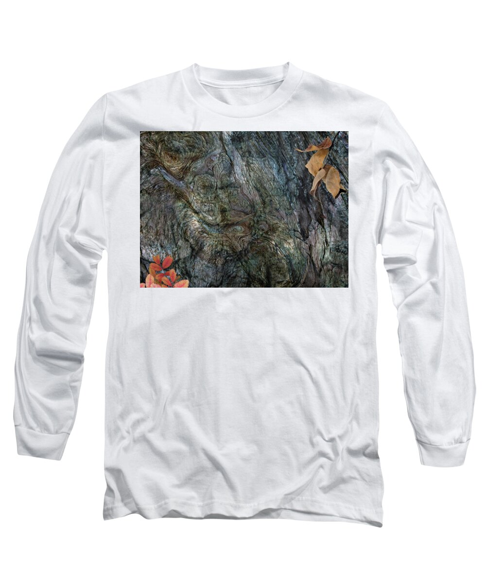 Trees Long Sleeve T-Shirt featuring the photograph Tree Memories # 33 by Ed Hall