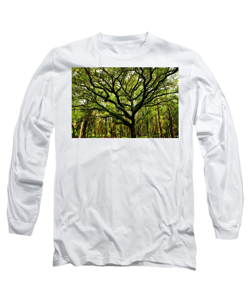 Tree Long Sleeve T-Shirt featuring the photograph Tree of Life by Stoney Lawrentz