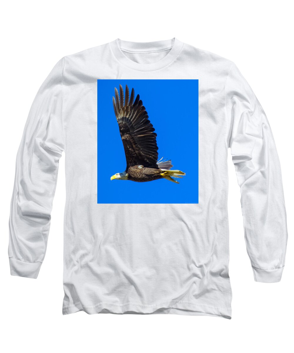 16jan16 Long Sleeve T-Shirt featuring the photograph Tucked Under by Jeff at JSJ Photography
