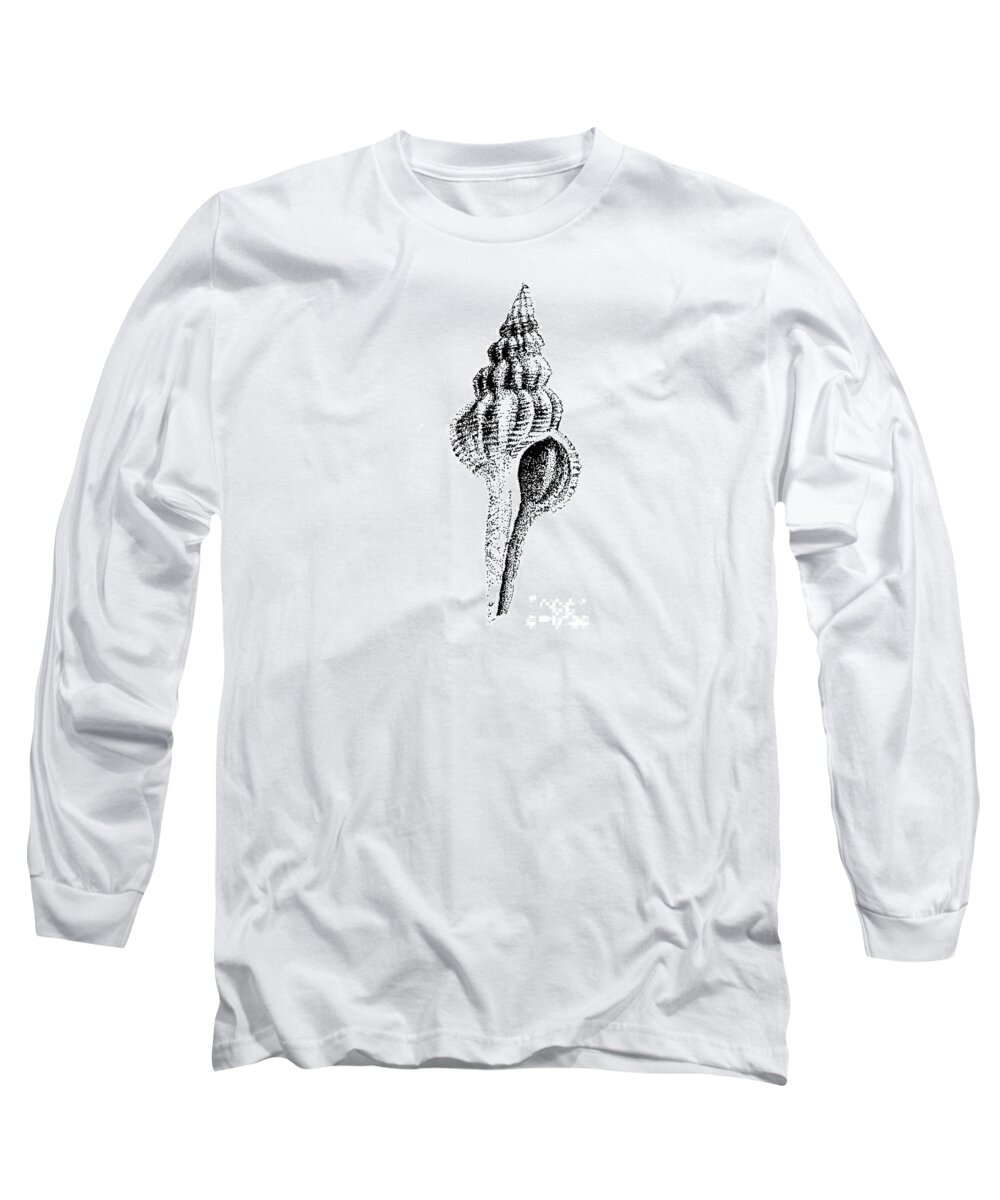Sea Shell Long Sleeve T-Shirt featuring the drawing twirly Shell by Shelley Myers