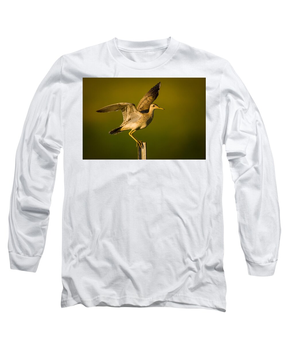 Wildlife Long Sleeve T-Shirt featuring the photograph Upland Sandpiper on Steel Post by Jeff Phillippi