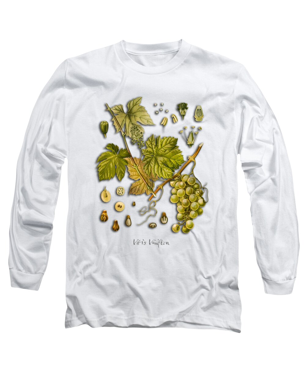Vitis Vinifera Long Sleeve T-Shirt featuring the digital art Vitis vinifera by Justyna Jaszke JBJart