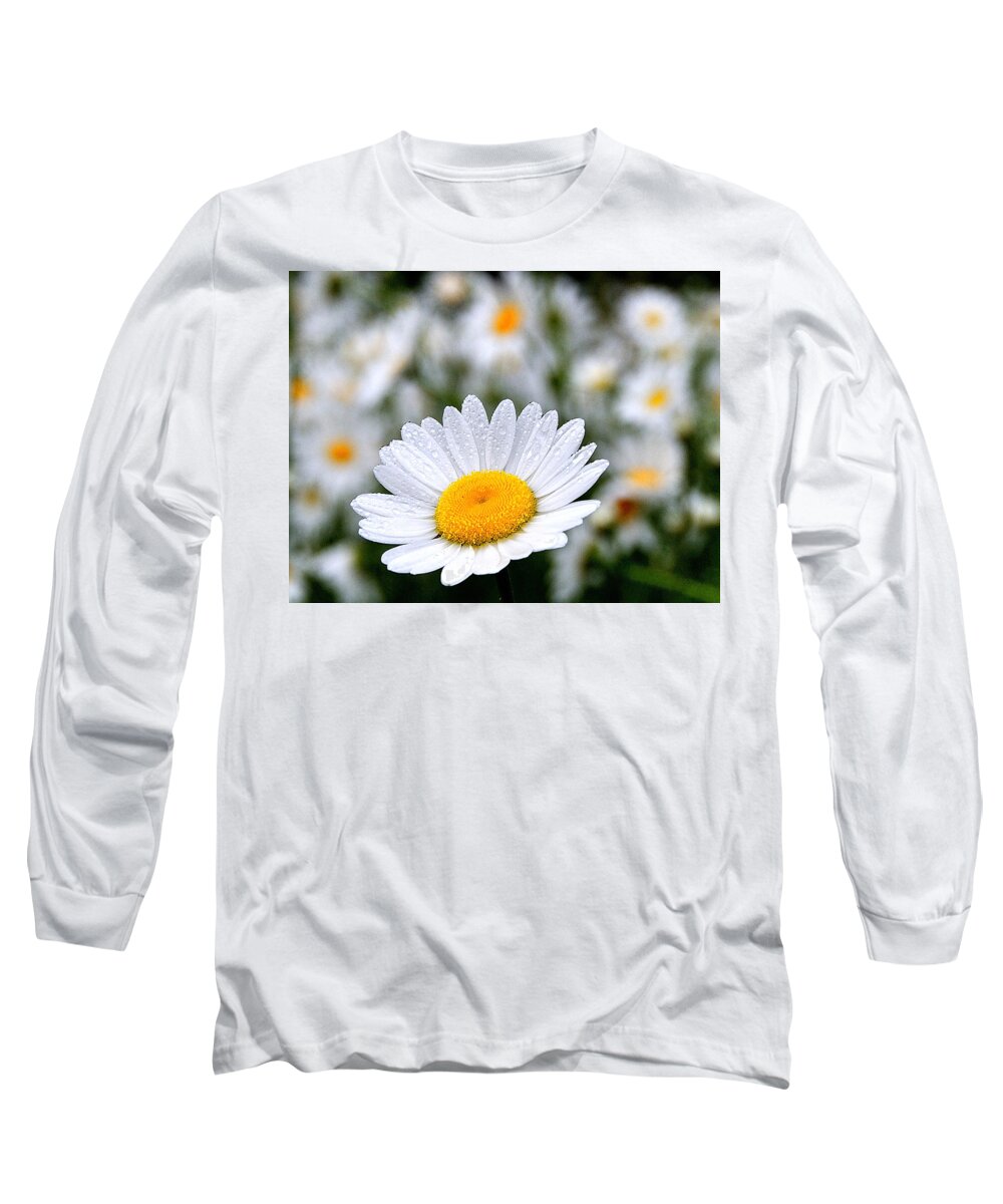Flower Long Sleeve T-Shirt featuring the photograph Waiting For The Sun by Mark Fuller