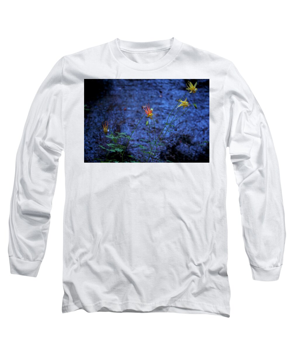 Flowers Long Sleeve T-Shirt featuring the photograph Wall Flowers by David Chasey